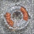 Variation 1