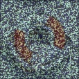 Variation 6