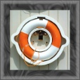 Diffuse Map