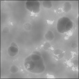 Bump Map