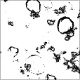 Reflective Occlusion Map
