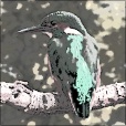 Variation 2