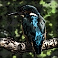 Variation 5