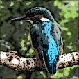 Variation 6