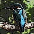 Variation 7