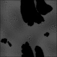 Bump Map