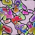 Variation 1
