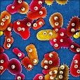 Variation 7