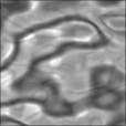 Bump Map