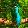 Variation 6