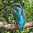 Variation 4