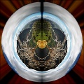 Polar Distort