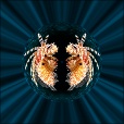 Variation 4