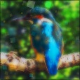 Variation 6