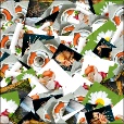 Variation 1