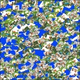 Variation 6