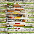 Variation 7