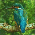 Variation 2