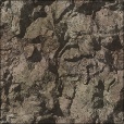Diffuse Map