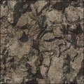 rockp2_7