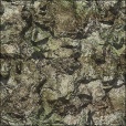 Variation 4