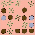 Variation 7