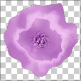 Variation 2