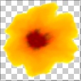 Variation 4