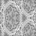 Microscopic Paterns