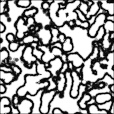 Ambient Occlusion Map