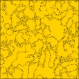 Diffuse Map