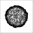 Reflective Occlusion Map