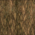 Diffuse Map