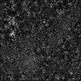 Ambient Occlusion Map