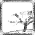 Ambient Occlusion Map