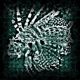 Variation 7