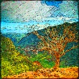 Variation 6
