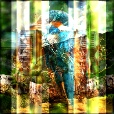 Variation 2