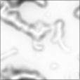 Reflective Occlusion Map