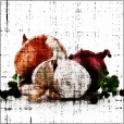 Variation 7