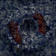 Variation 3