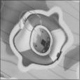 Bump Map