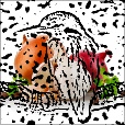 Variation 7