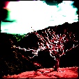 Variation 5