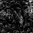 Ambient Occlusion Map
