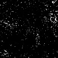 Reflective Occlusion Map
