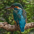 Organic Photo Effect