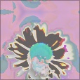 Variation 1