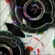 Variation 7