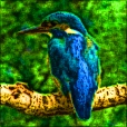 Variation 3
